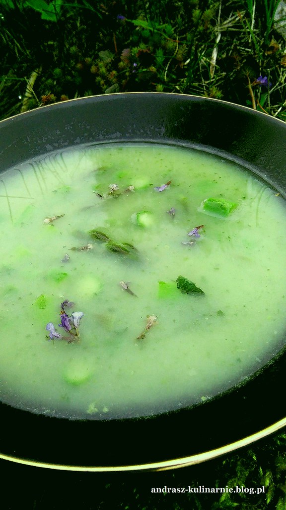 zupa z pokrzywy