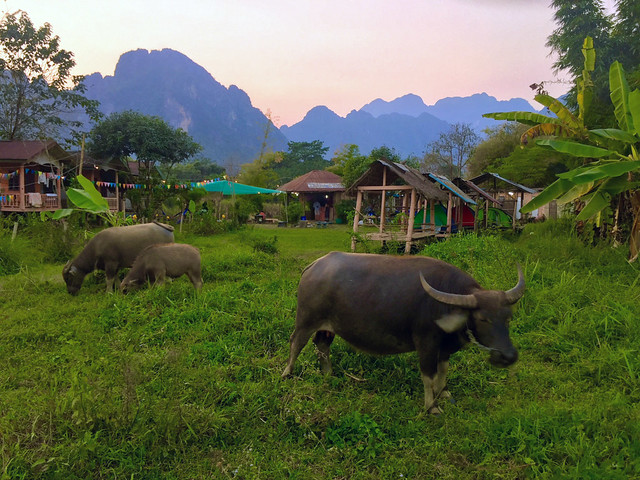 LAOS, EN BUSCA DEL VALLE ENCANTADO. - Blogs de Laos - VANG VIENG (2)