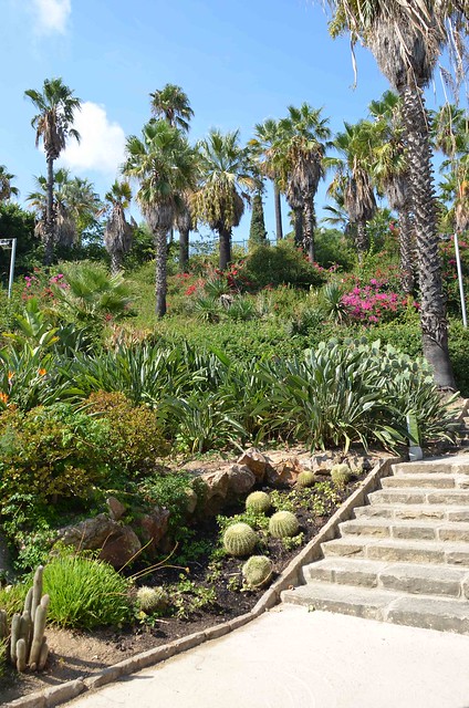 Jardins Mossèn Costa i Llobera