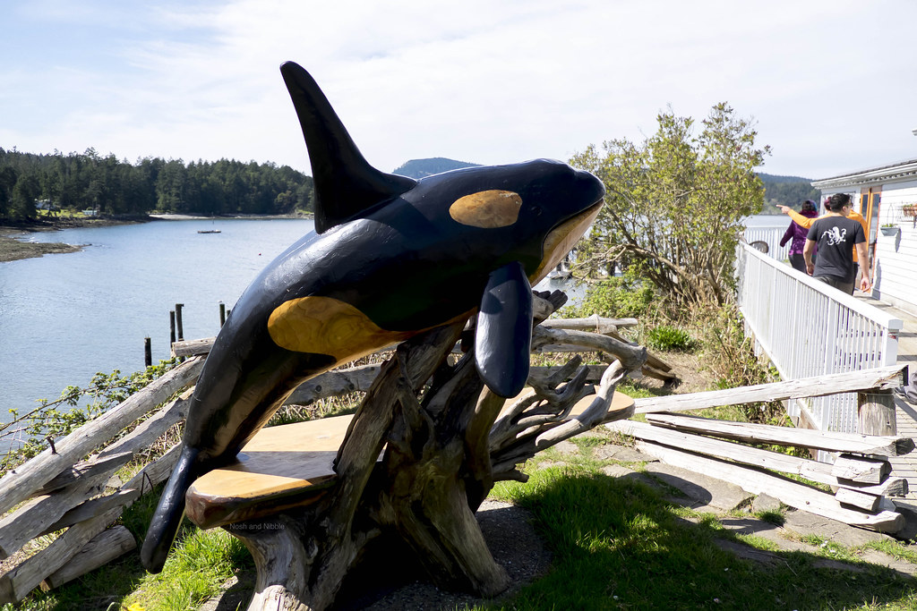 Orca Figure Denoting Nearby Orcas