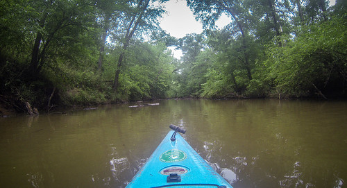 Long Cane Creek with Lowcountry Unfiltered-16