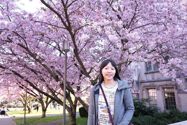 Cherry Blossoms - Seattle-14