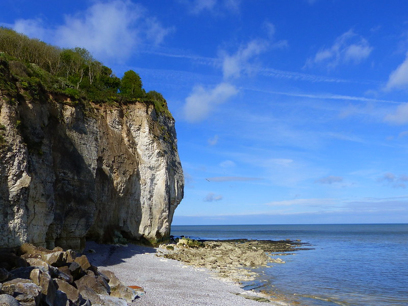 Pays de Caux et Côte d'Albâtre - Page 32 33775474074_95cc785d4e_c