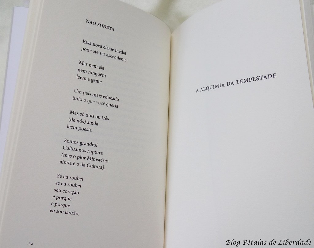 Não-soneta, poesia, livro, A-alquimia-da-tempestade-e-outros-poemas, D.-G.-Ducci