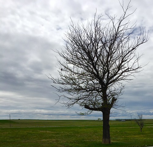 ree in South Dakota. From The Art of Road Tripping, Part 3: Noticing Things