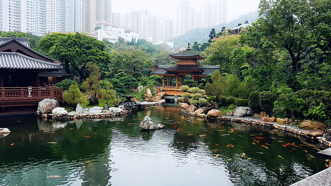 Chi Lin Nunnery and Nan Lian Garden Hong Kong 志蓮淨苑，南蓮園池, 香港