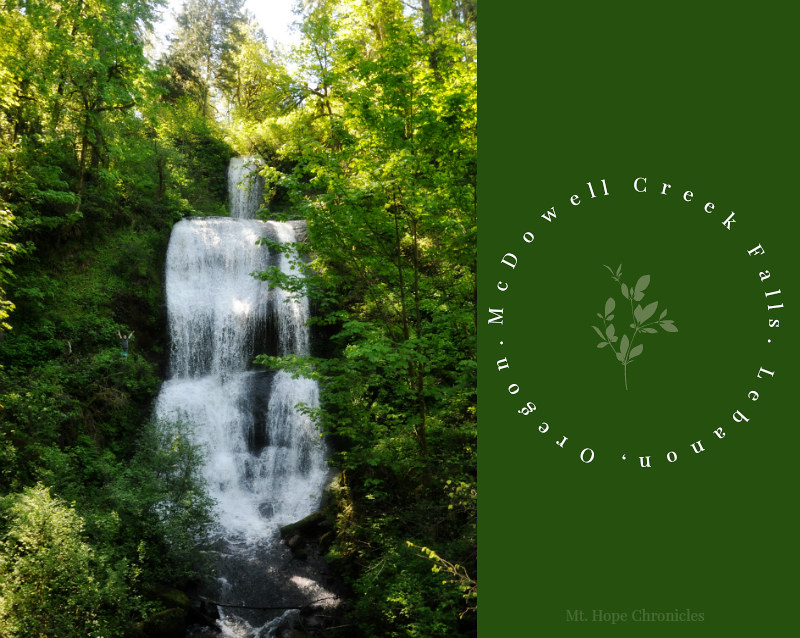 McDowell Creek Falls @ Mt. Hope Chronicles