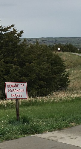 Poisonous Snakes! From The Art of Road Tripping, Part 3: Noticing Things