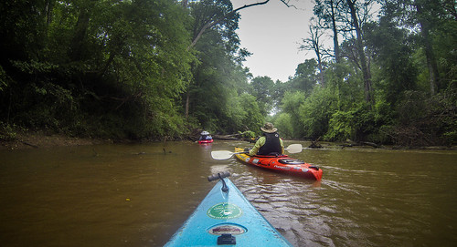 Long Cane Creek with Lowcountry Unfiltered-26