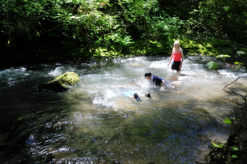 McDowell Creek Swimming @ Mt. Hope Chronicles
