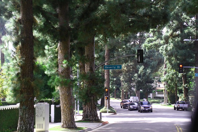 LA beverly drive, Beverly Drive, A Little Bit of Everything in Los Angeles
