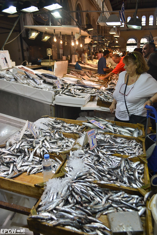 Mercado central de Atenas: Pescadería