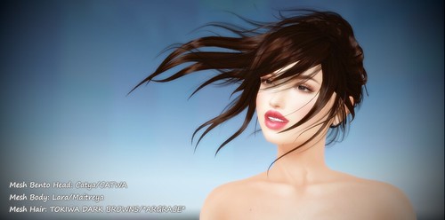 Catya/Tokiwa/Lara Avatar in Second Life