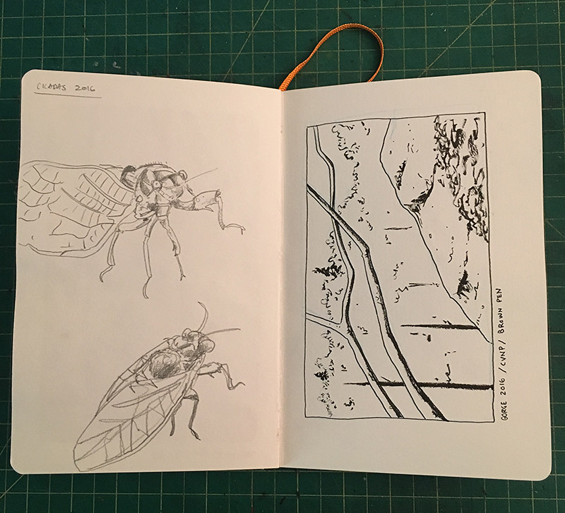 Nature Sketchbook 001