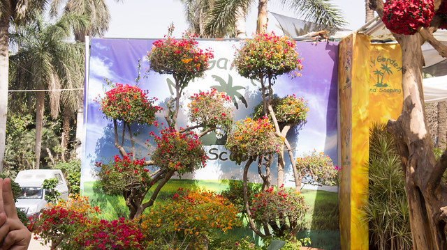 Trees with flowers at Egypt's Spring Flowers show
