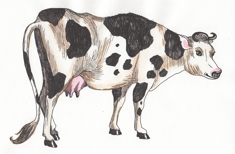 VEGAN LOVE - Cow by Dame Darcy