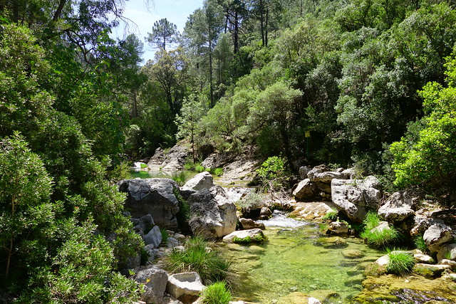 Sierras de Cazorla, Segura y las Villas, Jaén (3). Ruta río Borosa (a pie). - Recorriendo Andalucía. (26)