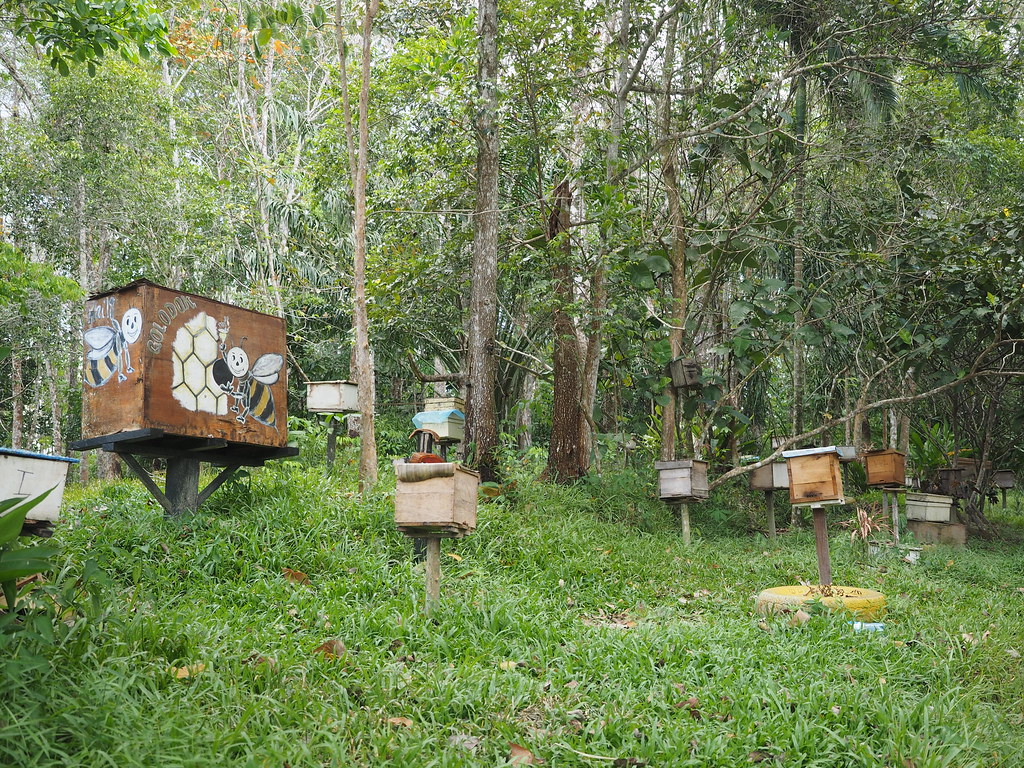 Honey Farm Village