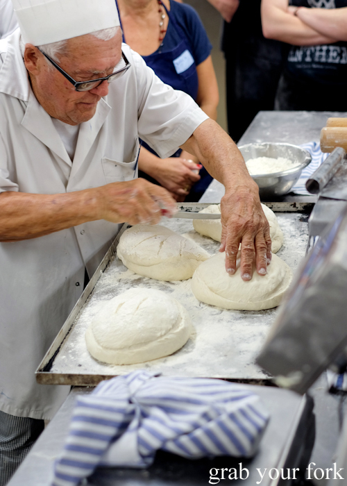 Scoring bread dough into pagnotta