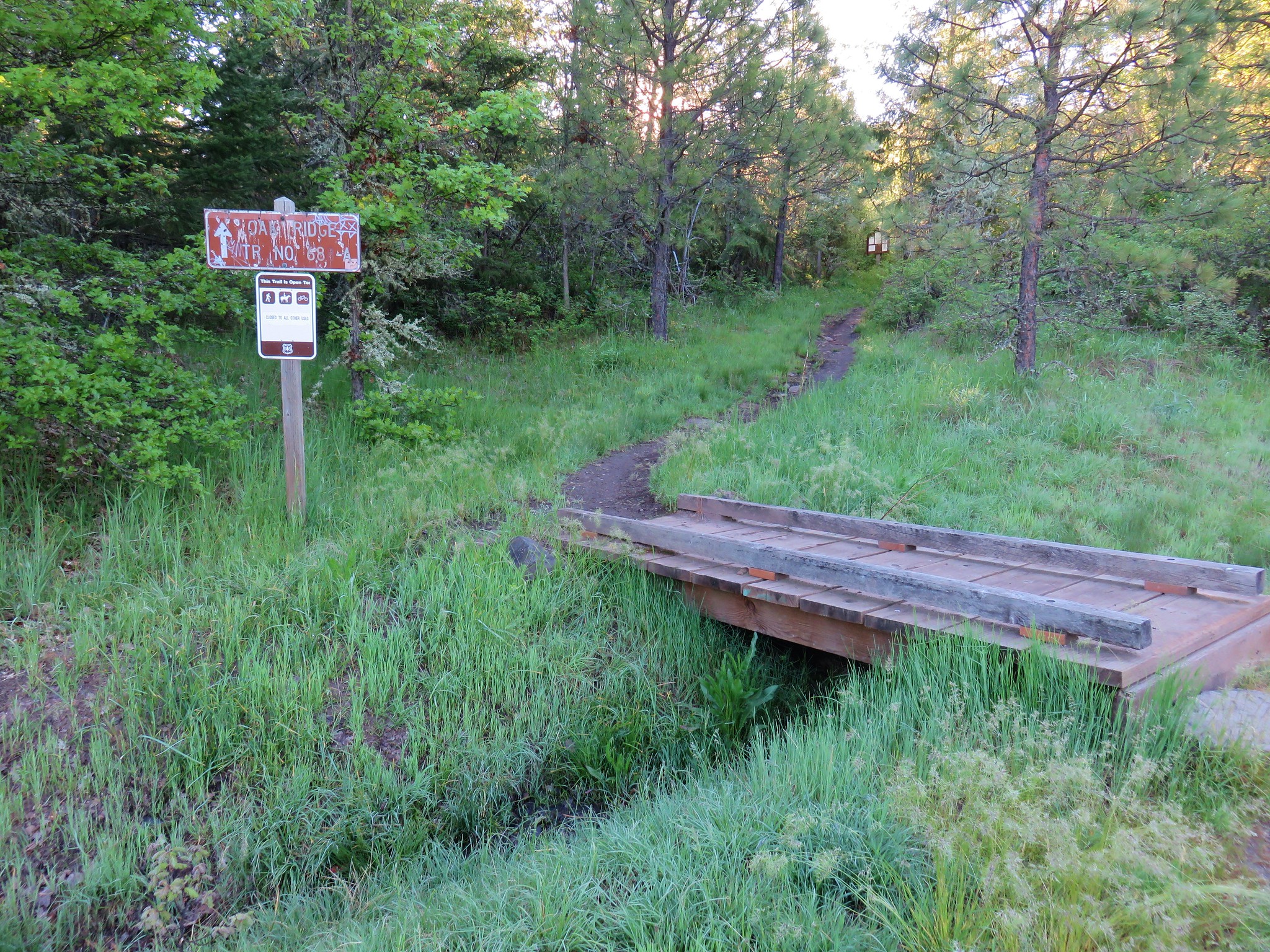 Oak Ridge Trail