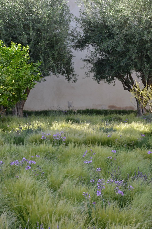 marrakech may 2017 green gardens workshop