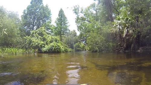 Juniper Springs Creek-009