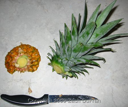 pineapple_cut