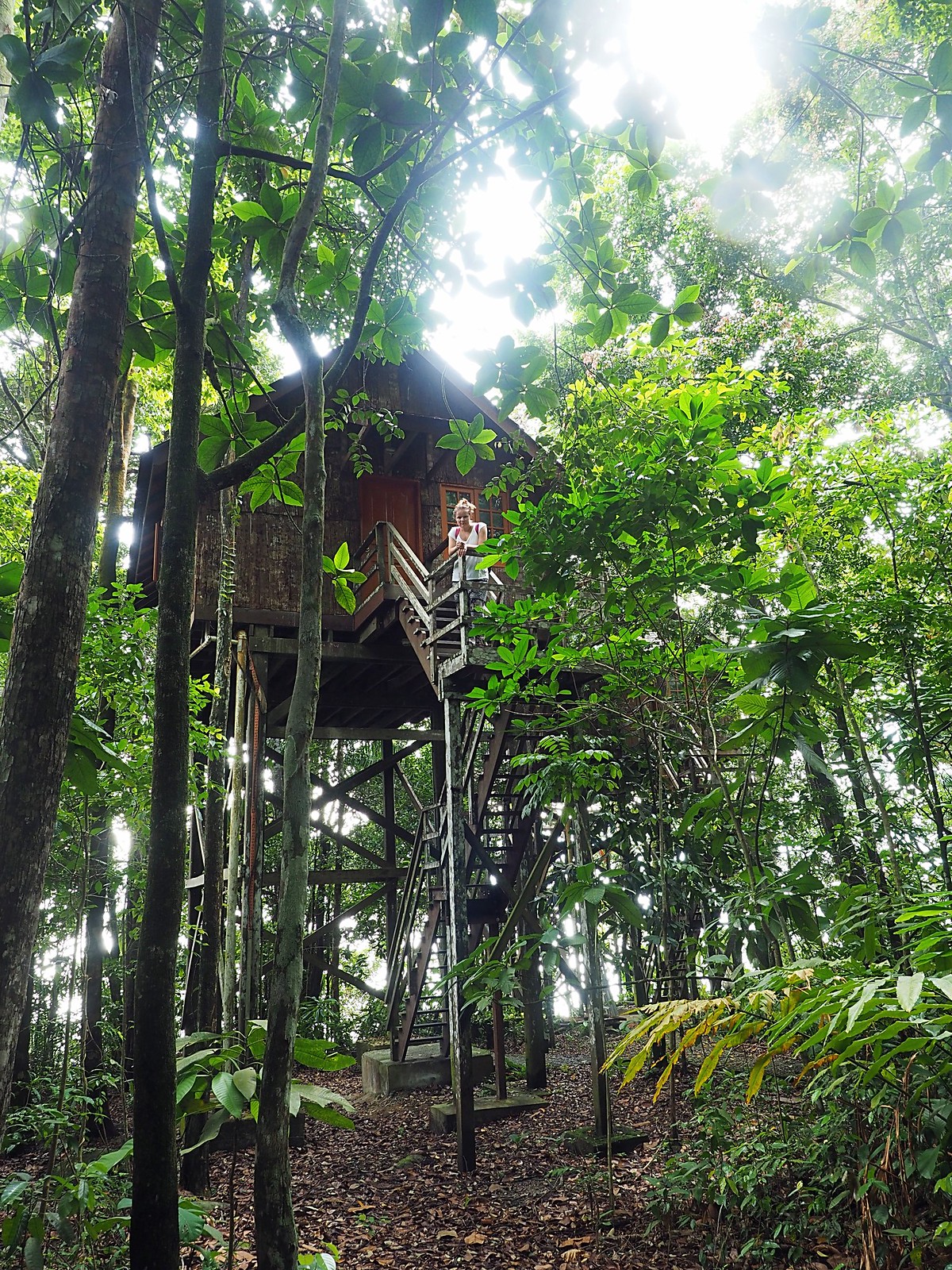 Permai Rainforest Resort 