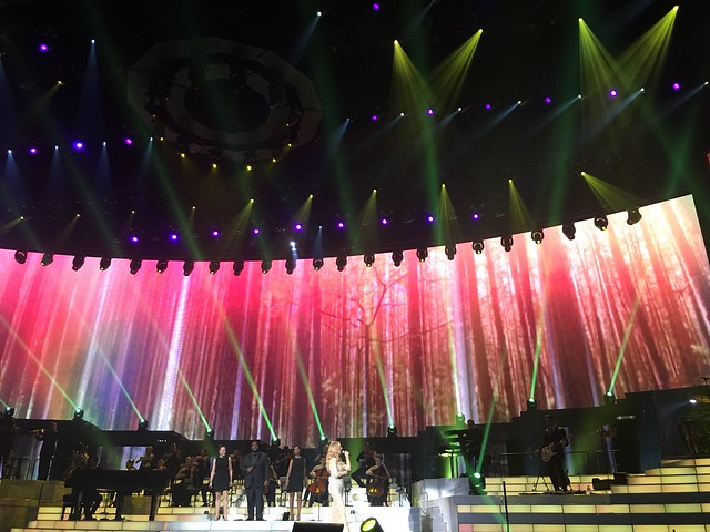 vegas 351 Celine Dion Las Vegas Concert
