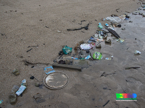 Marine trash at the Sisters Islands Marine Park