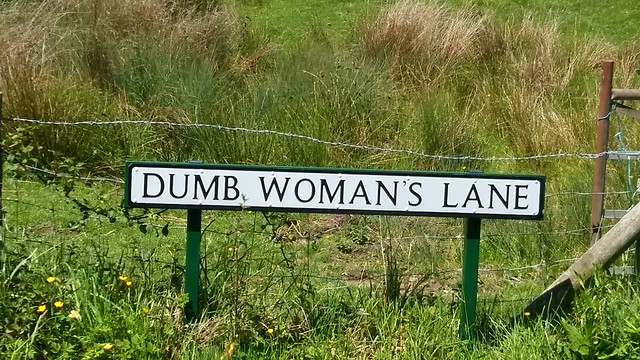 Dumb Womans Lane
