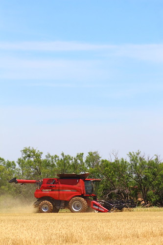 This is the first time I've ever photographed a red combine.