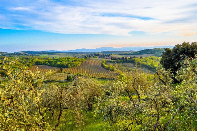 Tuscan views. From San Donato In Poggio in Pictures: The Beauty of Tuscany
