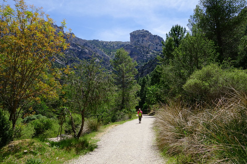 Sierras de Cazorla, Segura y las Villas, Jaén (3). Ruta río Borosa (a pie). - Recorriendo Andalucía. (28)