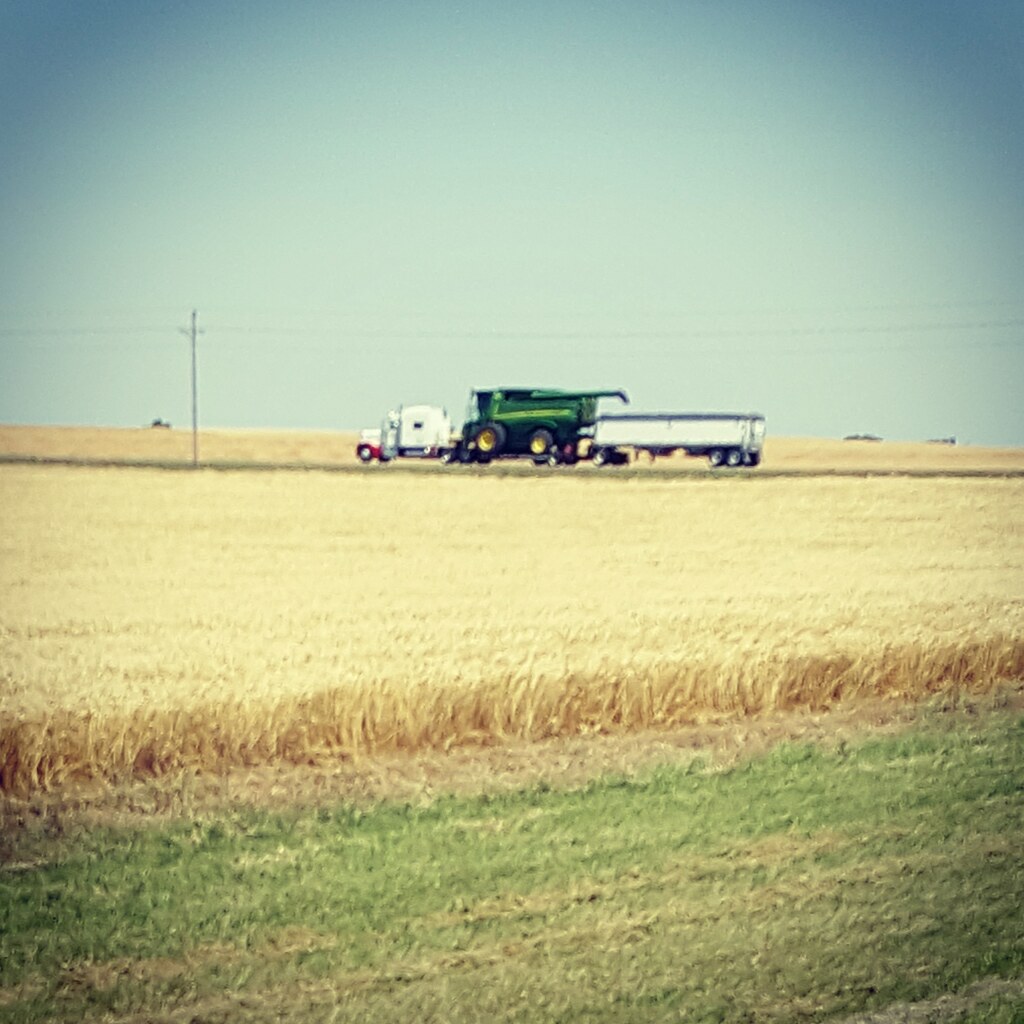 Schemper 2017 - Kansas Wheat Harvest