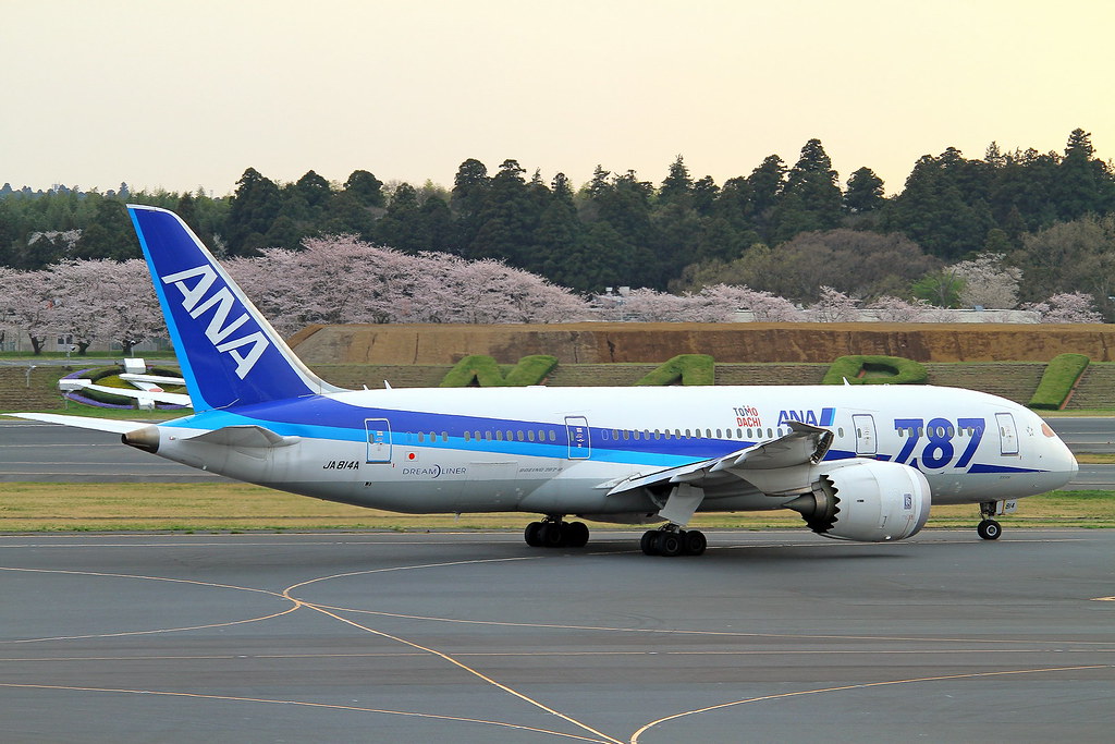 JA814A All Nippon Airways  Boeing 787-8 Dreamliner