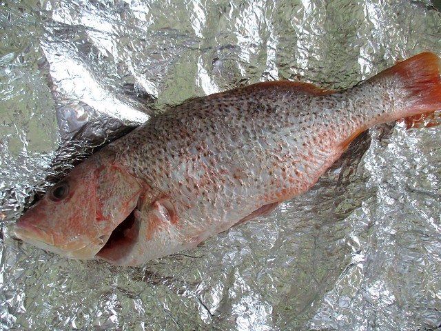Red snapper from BIL
