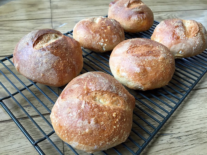 Sourdough Bread Boules