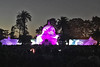 Summer of Love - Conservatory of Flowers light whale pink