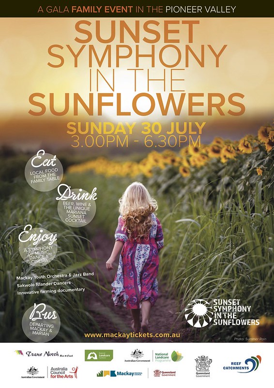 sunset symphony in the sunflowers