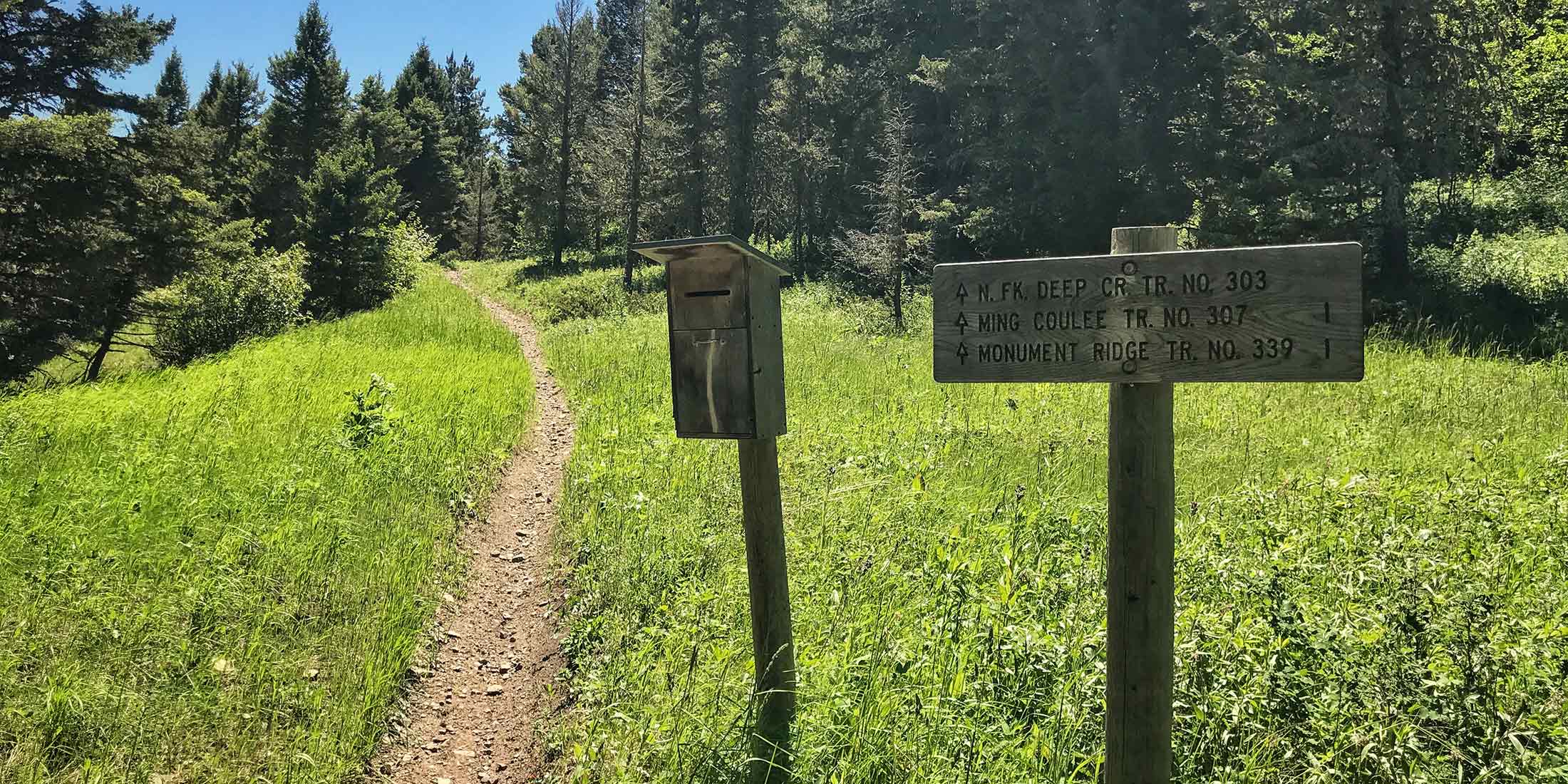 Motorcycle, ATV and Horseback trails leading from Logging Creek section into the Deep Creek section. Located 19.2 miles from Highway 89 on Logging Creek Road in the Little Belt Mountains. 