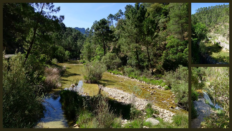 Sierras de Cazorla, Segura y las Villas, Jaén (3). Ruta río Borosa (a pie). - Recorriendo Andalucía. (10)