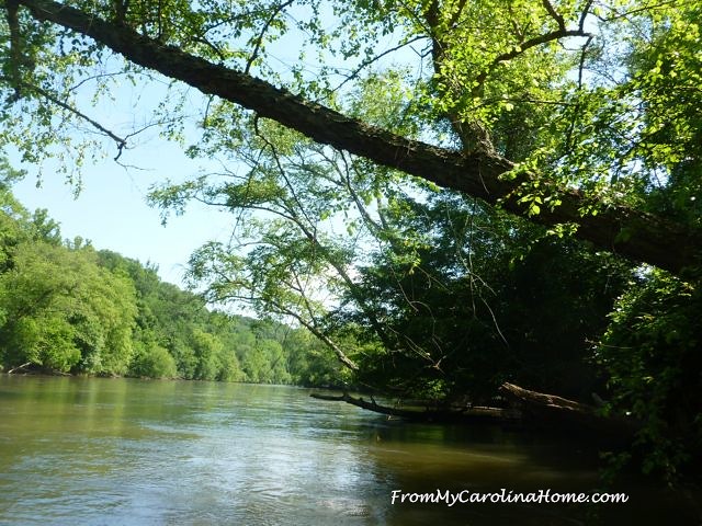French Broad River Canoe Trip at From My Carolina Home