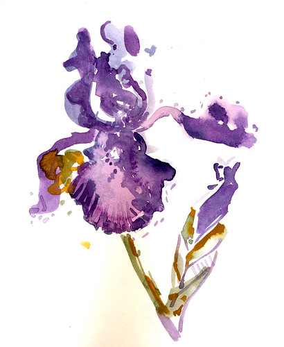 Sketchbook #104: Irises