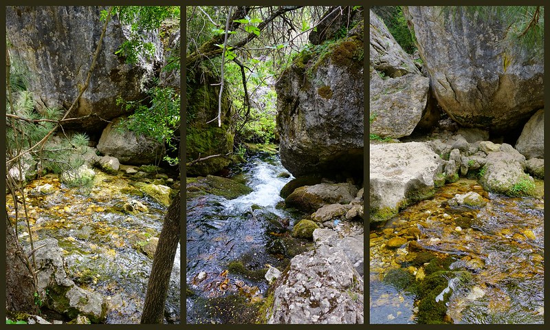 Sierras de Cazorla, Segura y las Villas, Jaén (3). Ruta río Borosa (a pie). - Recorriendo Andalucía. (56)