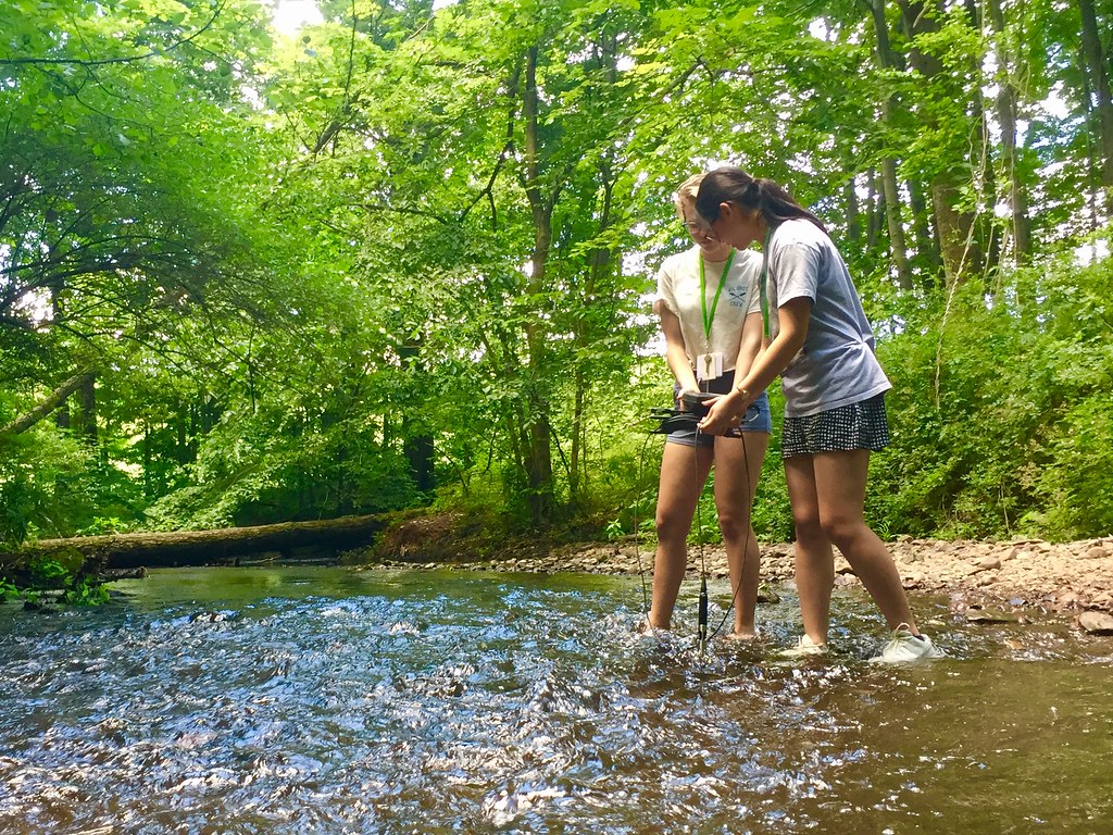 Environmental science and sustainability students explore water and invertebrate health.