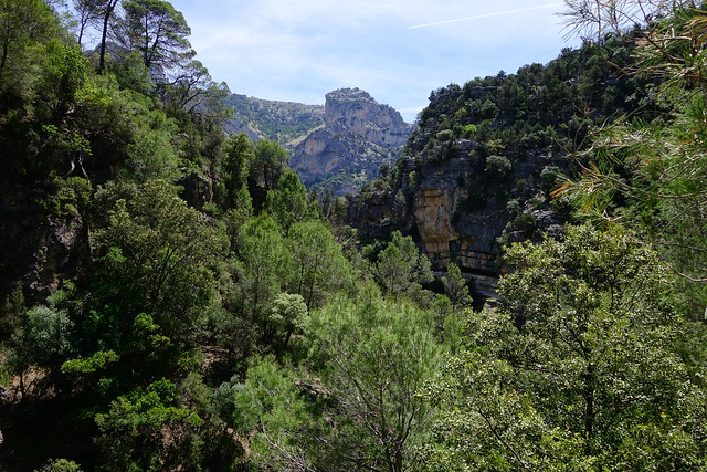 Sierras de Cazorla, Segura y las Villas, Jaén (3). Ruta río Borosa (a pie). - Recorriendo Andalucía. (27)