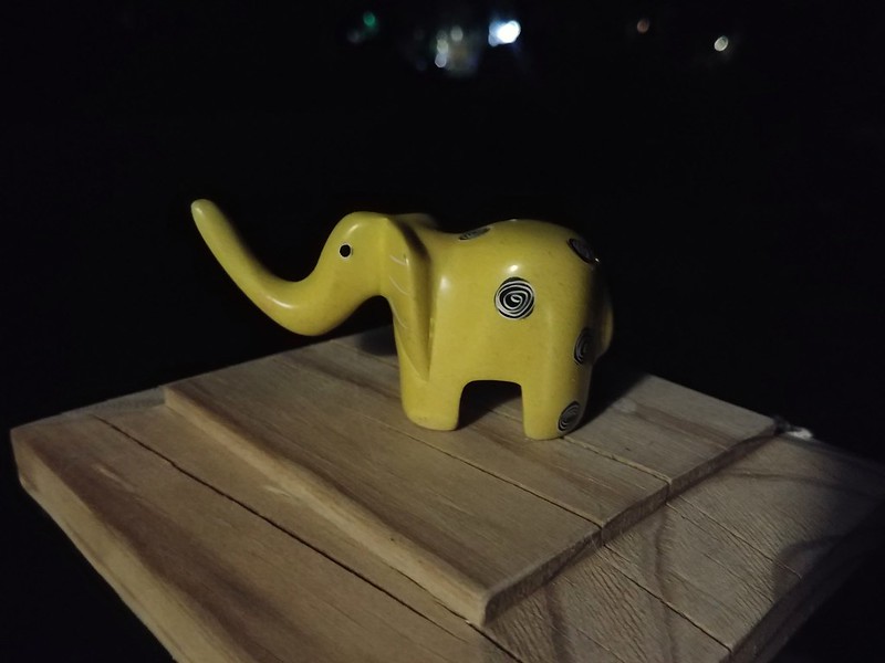 Mr. Elephant