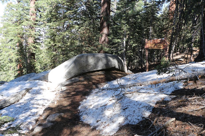 We enter Mt. San Jacinto State Park on the Fuller Ridge Trail with patches of snow still melting