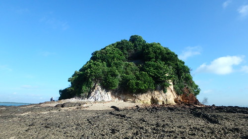 Landslide at coastal forest on Pulau Jong